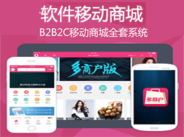 嘉兴APP商城系统,嘉兴手机商城系统,嘉兴商城系统,手机移动商城